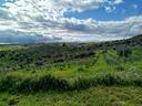 terreno-palazzolo-acreide