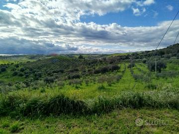 Terreno - Palazzolo Acreide