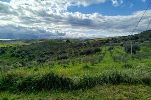 Terreno - Palazzolo Acreide