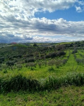 Terreno - Palazzolo Acreide