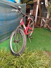 bicicletta 