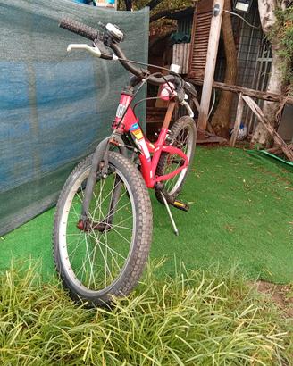 bicicletta 