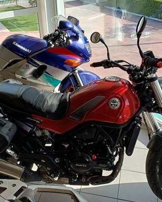 Benelli Leoncino 500