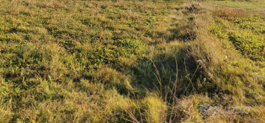 Immobile in asta di 1773 m² a Caprie - Altro