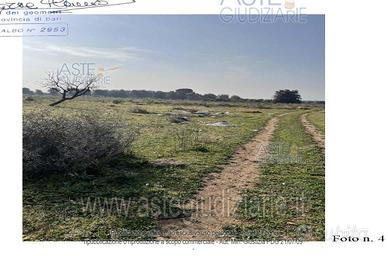 Terreno Agricolo Capurso [A4294269]