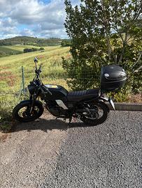 Brixton Glenville 250