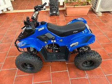 Quad 110cc