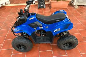 Quad 110cc