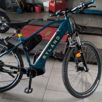MTB e-bike gomme nuove e freni nuovi 