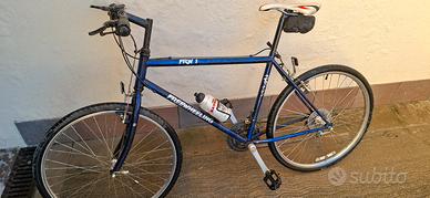 Bicicletta FRW MTB vintage anni 90