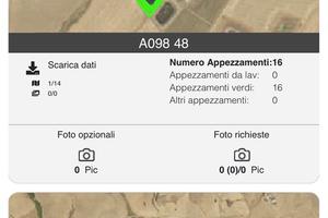 Terreno 15ettari agrumi olive