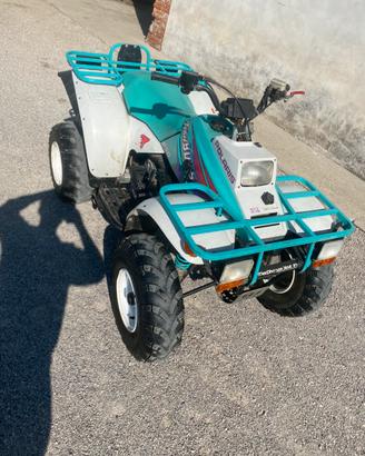 Quad polaris 250 2t