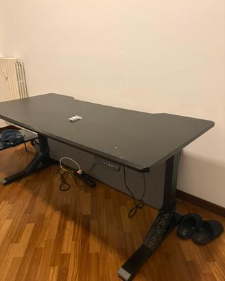 Scrivania elettrica regolabile