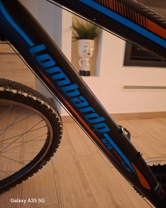bicicletta lombardo 24  