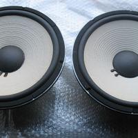Riparazione riconatura woofer casse ribordatura