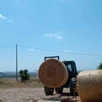 rotopresse orzo/veccia foraggio 