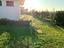 Immagine 27