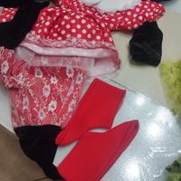 vestito di carnevale Minnie ( topoletta di Pegasus