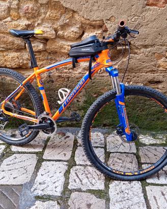 MTB 29 Torpado Mercury 29ER Freni idraulici (TG L)