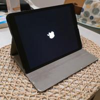 Ipad Air 256gb