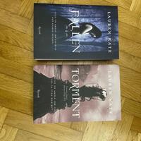 i primi due libri della serie Fallen