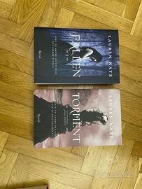 i primi due libri della serie Fallen