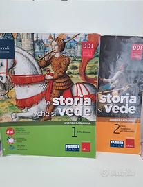 Libri di Storia – La Storia che si Vede