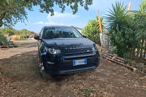 discoveri sport
