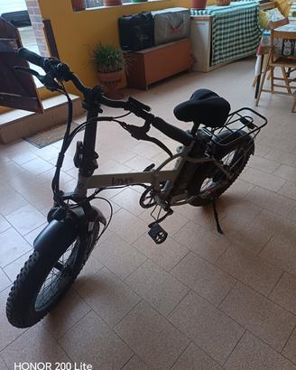 bici elettrica 