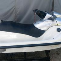Moto d'acqua Polaris