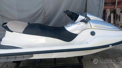 Moto d'acqua Polaris