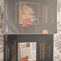 Letteratura 1 Istruzioni per l'uso 9788805078011