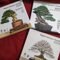 collezione in cambio di bonsai