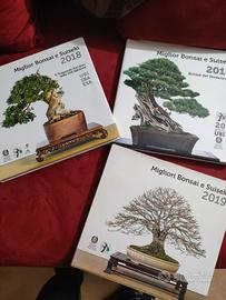 collezione in cambio di bonsai