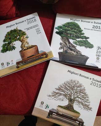 collezione in cambio di bonsai