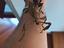 Immagine 4
