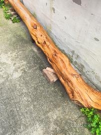 tronco zinnibiri (ginepro)già lavorato