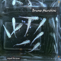 Medaka miyuki blu lame