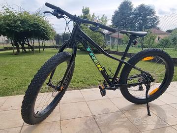 Trek roscoe 24