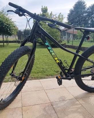 Trek roscoe 24
