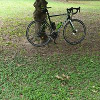 Scott cr1