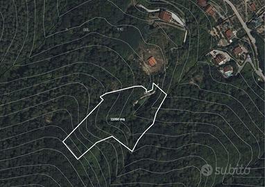 Appezzamento di terreno a bosco