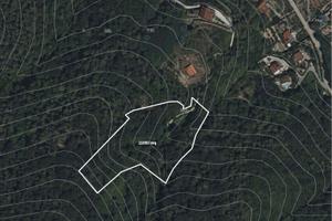 Appezzamento di terreno a bosco