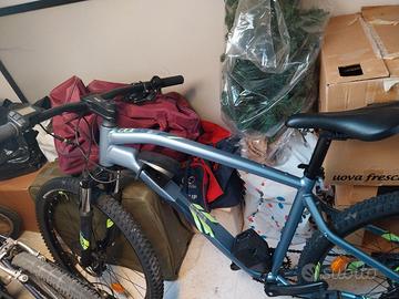 Bicicletta con pedalata assistita