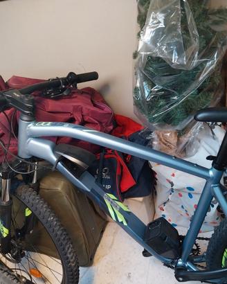 Bicicletta con pedalata assistita