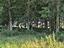 Immagine 26