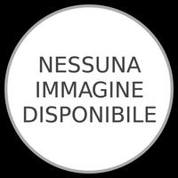 Cuore Rossoblù di Paolo Campigli (1981)