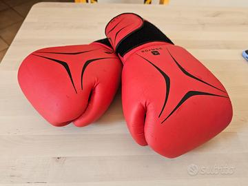 guantoni da boxe domyos 