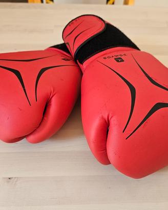 guantoni da boxe domyos 