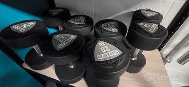 Manubri Sidea Round Pro PU coppie da 4 a 24 kg